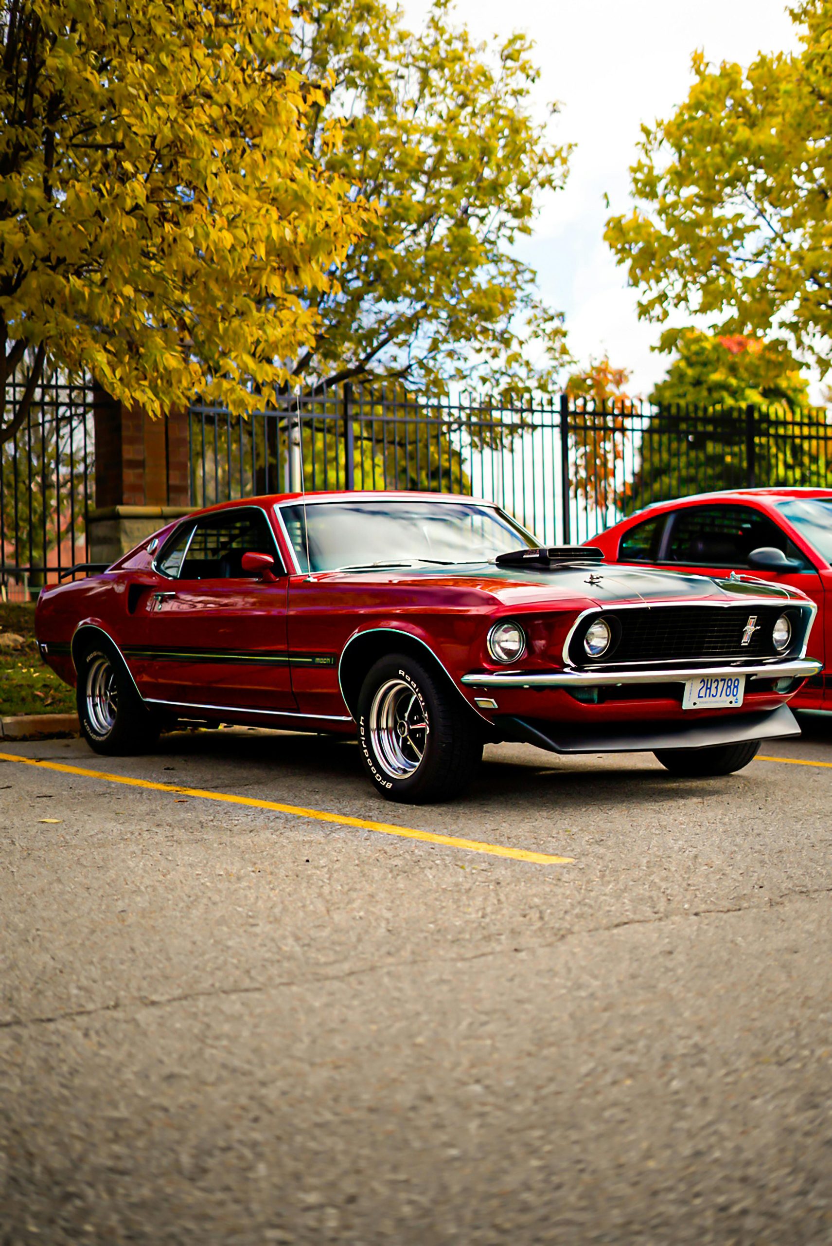 Red vintage Ford Mustang parked in a lot during autumn, showcasing muscle car design.